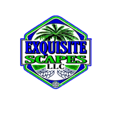 Exquisite Scapes logo