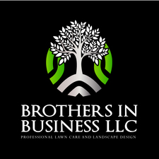 Brothers in Business, LLC logo