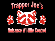 Avatar for Trapper Joe's Nuisance Wildlife Control