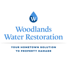 Logo for Woodlands Water Restoration