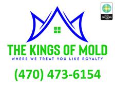 Avatar for The Kings Of Mold LLC