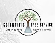 Avatar for Scientific Tree Service, LLC