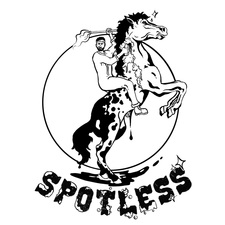 Avatar for Spotless, LLC