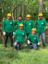 Logo for ER Tree Service