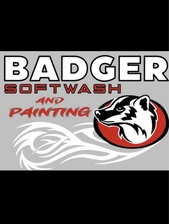 Logo for Badger SoftWash and Painting