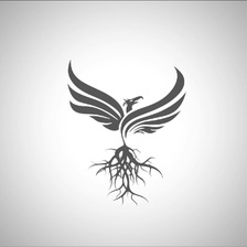 Avatar for Affiniti Homes, LLC