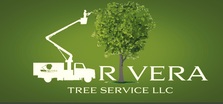 Avatar for Rivera Tree Service, LLC