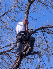 Logo for Get R Done Gendron Tree Service