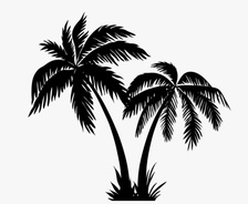 Avatar for Desert Oasis Landscaping, LLC