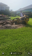 Avatar for A1 Tree and Lawn Services