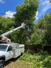 Avatar for YoungSonTreeService, LLC