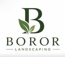 Avatar for Boror's Landscape