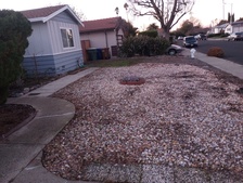 Avatar for SW Green Service