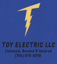 Logo for Toy Electric