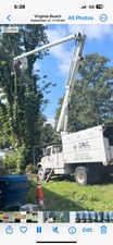 Logo for D&C Tree Service, LLC