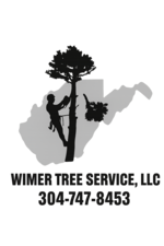Avatar for Wimer Tree Service, LLC