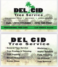 Avatar for Del Cid Tree Service