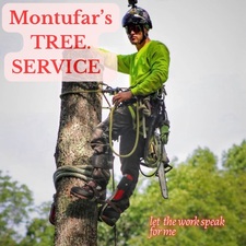 Logo for Montufar's Tree Service