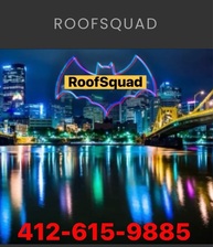 Logo for Roof Squad
