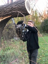 Avatar for Chain Bros Tree Service