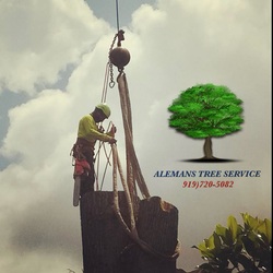 Aleman Tree Services & Stump LLC logo