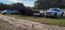 Avatar for Gigi's Bulk Removal & Dumpster Service, LLC