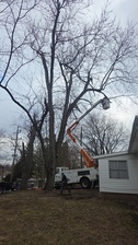 Avatar for Lumber Jake's Tree Service