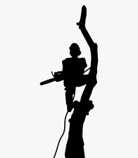 Logo for Xtreme Tree and Stump Removal