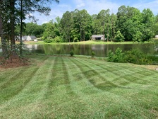 Logo for Timms Lawn Maintenance