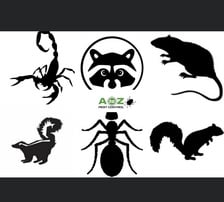 Avatar for A to Z Pest Control