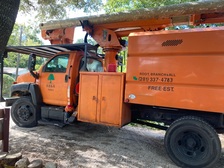 Avatar for Root Branch 'N' All