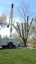 Logo for Hovey's Tree Service