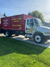Stamp's Tree Service logo