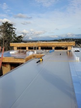 Avatar for Lifetime Roofing & Remodeling, Inc.