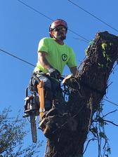 Avatar for A&J's Tree & Landscape Service, LLC