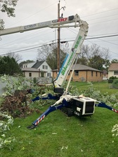 Avatar for ALL WISCONSIN TREE SERVICES LLC