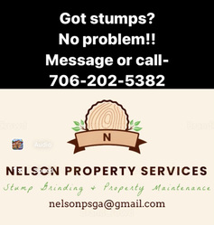 Nelson Property Services logo