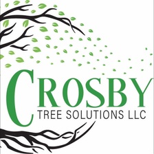 Avatar for Crosby Tree Solutions