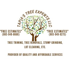 Logo for Tapia’s tree experts LLC
