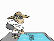 Avatar for Ray's Pool Service