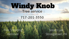 Logo for Windy Knob Tree Service, LLC