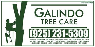 Galindo Tree Care, Inc. logo