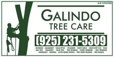 Avatar for Galindo Tree Care, Inc.