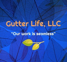 Avatar for Gutter Life