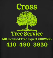 Andrew Cross logo