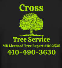 Avatar for Cross Tree Service