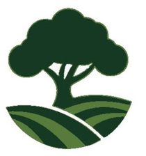 Avatar for Creative Scapes