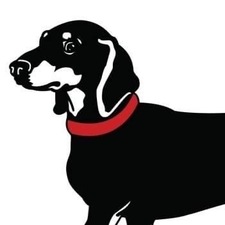 Logo for Apollo Dumpster Rental LLC