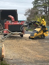 Team Smith Tree Service, Inc. logo