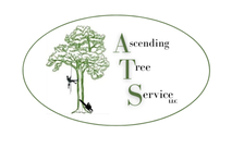 Avatar for Ascending Tree Service